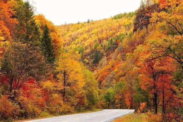 北方的秋天最美,这是无可争议的事实,而长白山的秋天五颜六色,更是