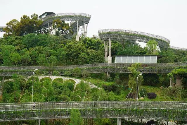 "福道" 是 福建省内最长的一条步道 同时也开创了 中国钢架悬空栈道的