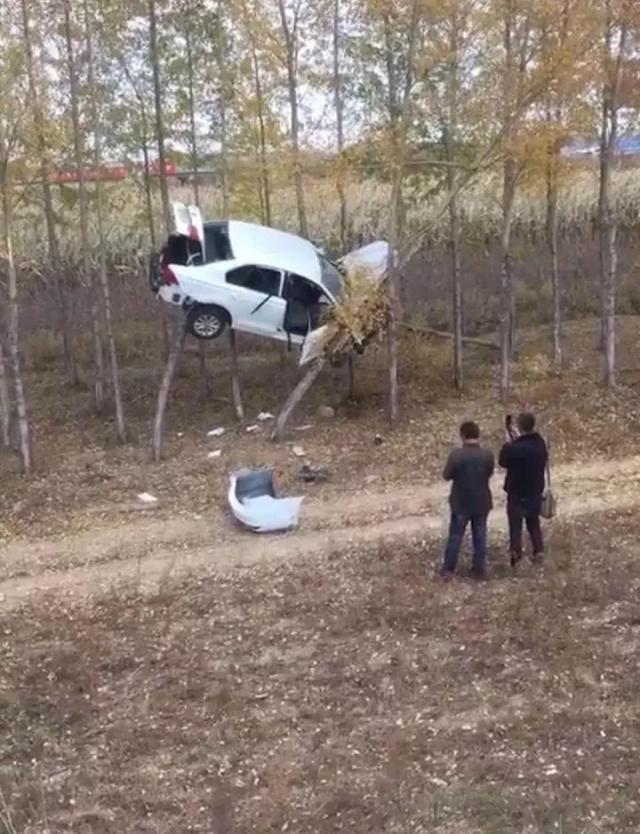 刷爆朋友圈的离奇车祸!轿车冲出路面"飞"上树!教练都不敢这么教啊