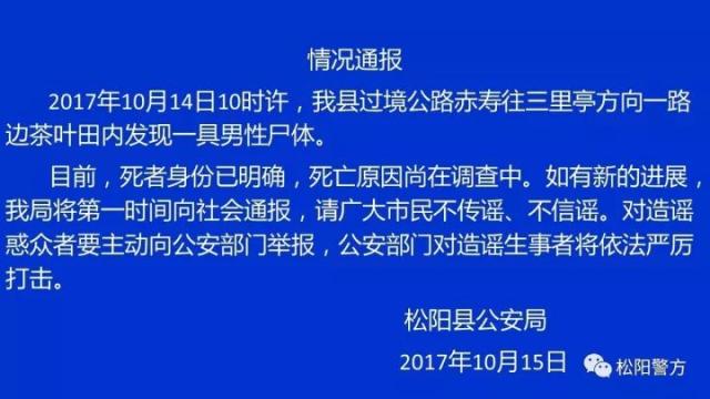 丽水松阳警方情况通报