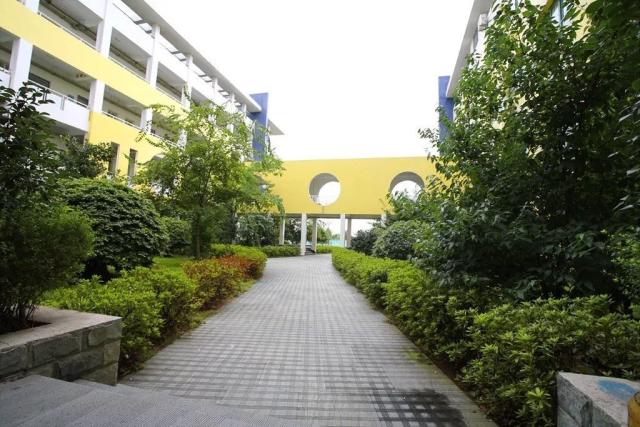 慈吉小学夜景 校园环境充满了绿色 地址:慈溪市古塘街道海关北路215号