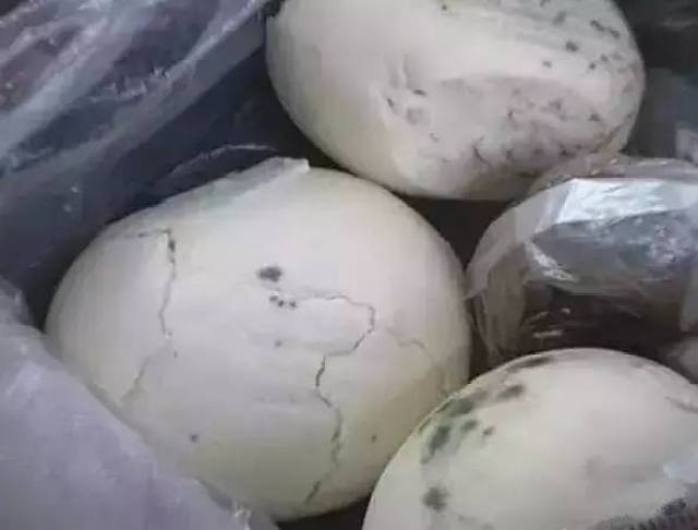 还记得是谁半夜偷偷吃了我们的馒头吗?