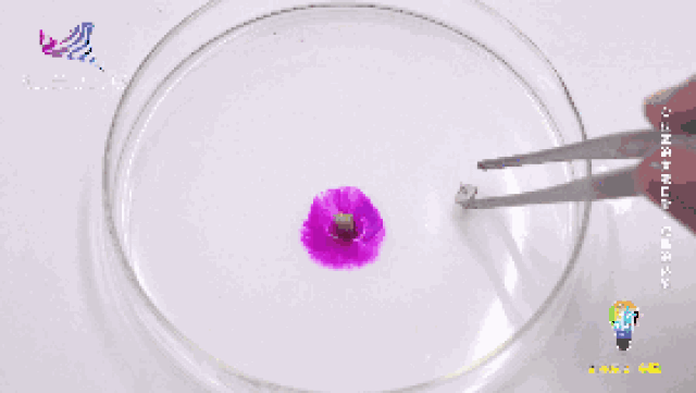 到底是什么跟钠发生了反应 开出了这么美丽的小fafa