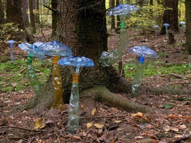 至今已经快有来自76个国家的 3000件塑料瓶子做成的艺术品了