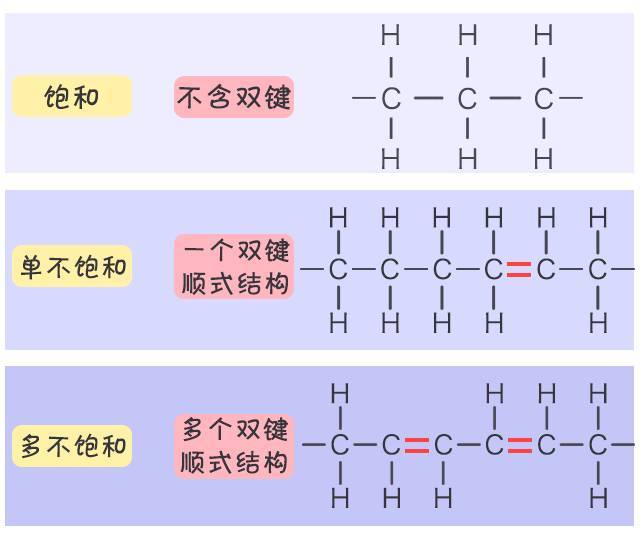 脂肪酸化学结构图片