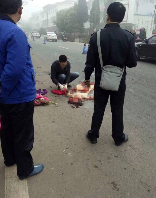 惨烈车祸死无全尸图片图片