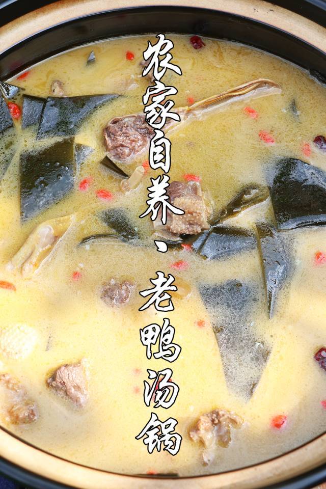 招牌必点:农家自养老鸭汤锅