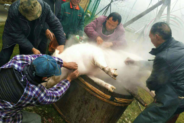 八台山景区隆重举办首届千人"刨汤宴"!