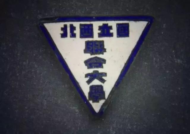 又过了一年 我成为了国立西北联合大学